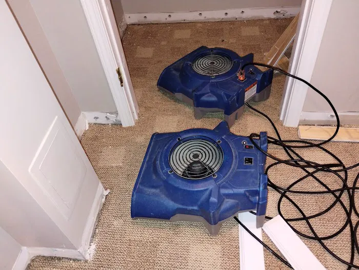 Action Extraction Inc of Macomb County Picture 8