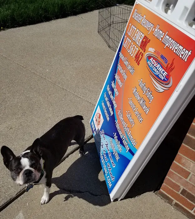 Advance Restoration Picture 7