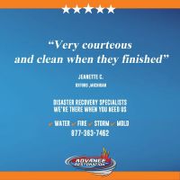 Advance Restoration ico