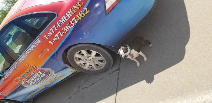 Advance Restoration Picture 8