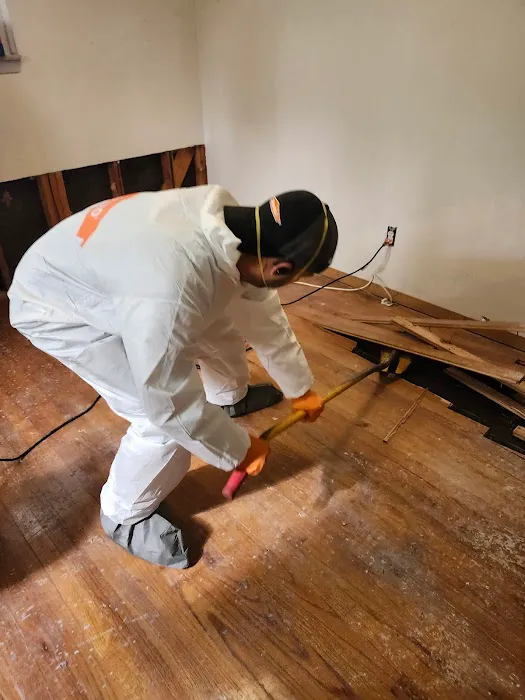 SERVPRO of Mount Clemens, New Baltimore Picture 2