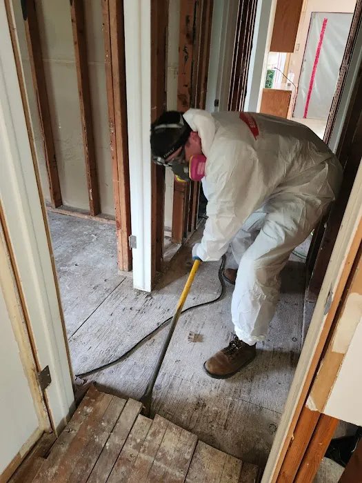 SERVPRO of Mount Clemens, New Baltimore Picture 10