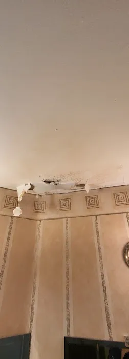 Fast Sterling Heights MI Picture 1