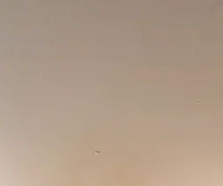 Fast Sterling Heights MI