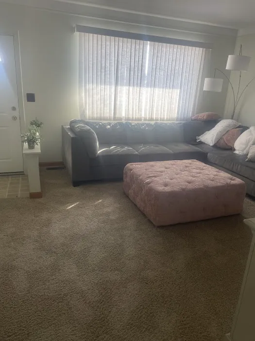 Stanley Steemer Picture 1