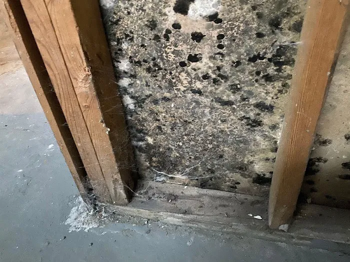 KeyTeam Companies Disaster Restoration and Maintenance Picture 4