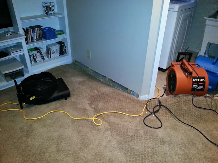 Fiber Clene Picture 4