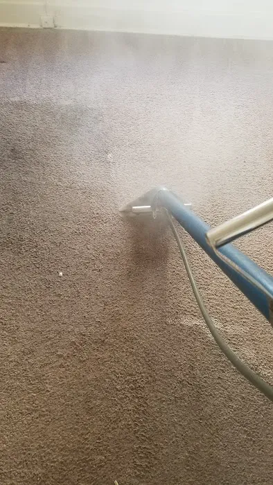 Fiber Clene Picture 5