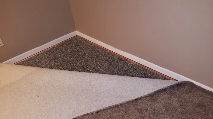 Fiber Clene Picture 8