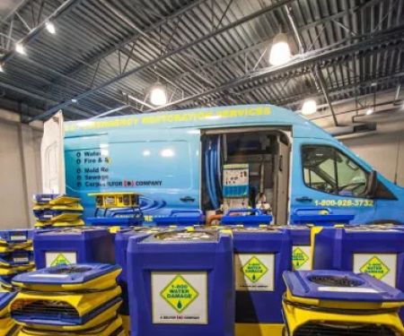 1-800 Water Damage of Royal Oak / Sterling Heights