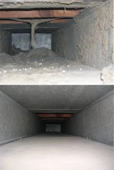 So Clean Inc Picture 2