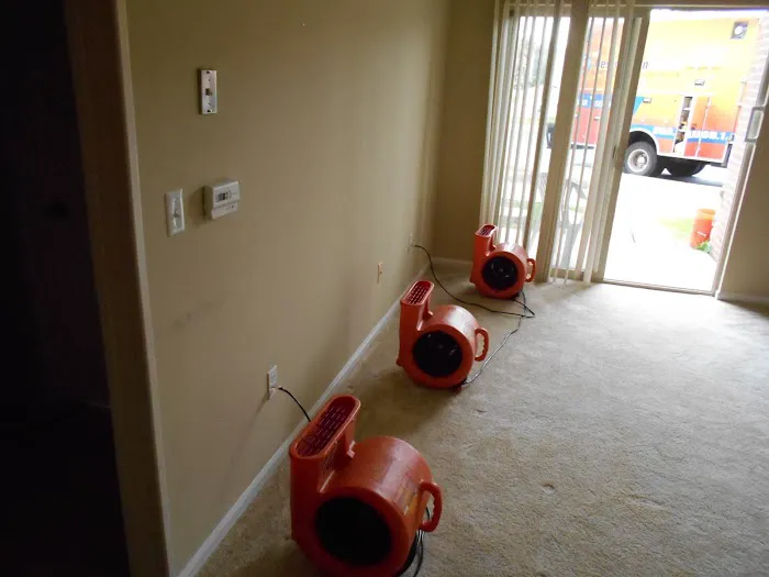 The Restoration Doctor Picture 3