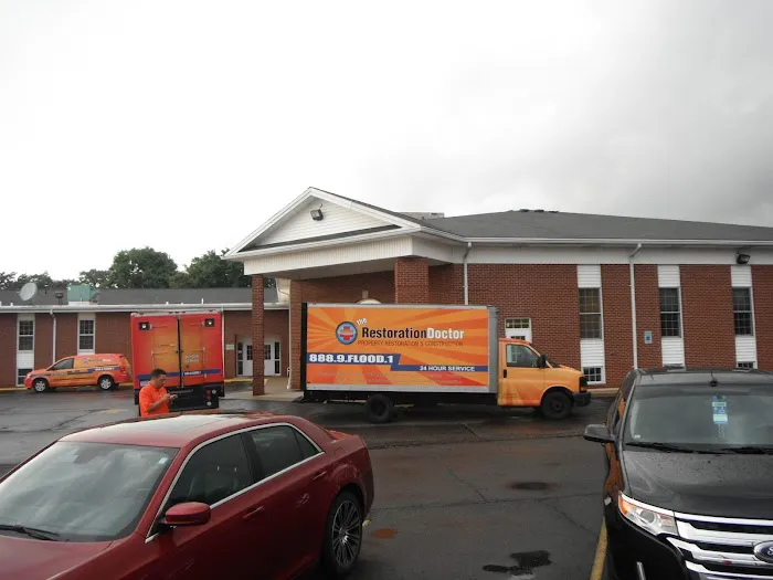 The Restoration Doctor Picture 5