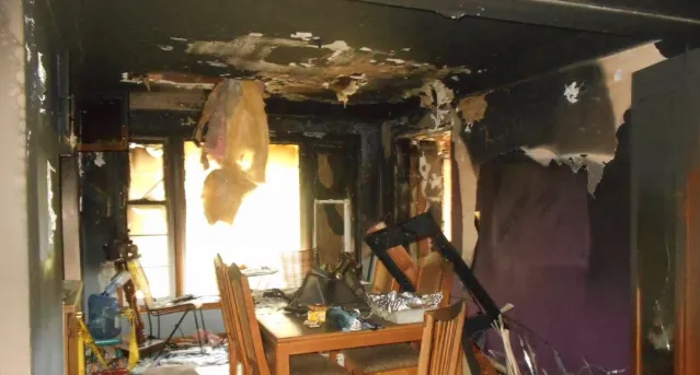 The Restoration Doctor Picture 1