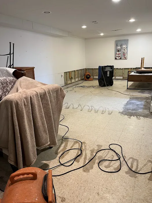 The Restoration Doctor Picture 7