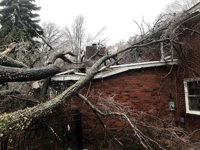 Select Restoration - Fire Restoration Experts Of Southeast MI Picture 5