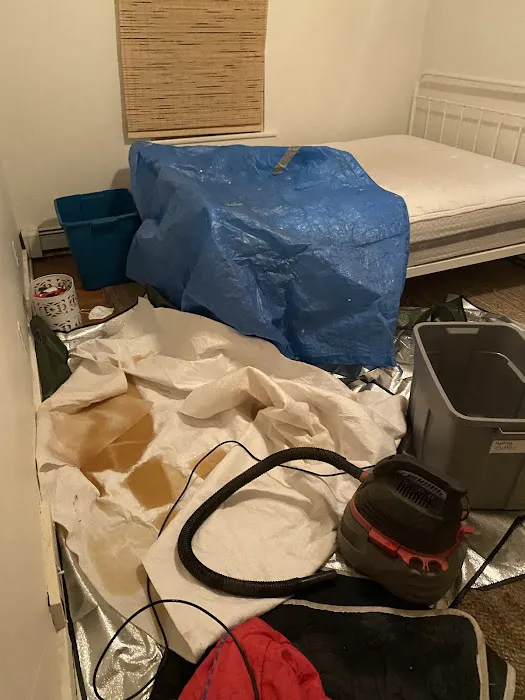 Lakeshore Restoration LLC Picture 3