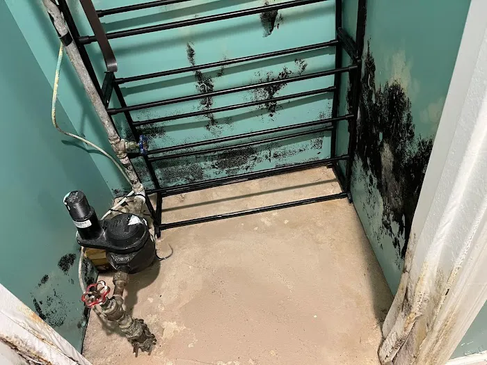 Lakeshore Restoration LLC Picture 10