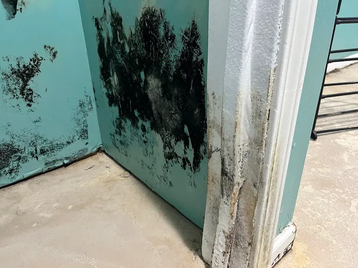 Lakeshore Restoration LLC Picture 8