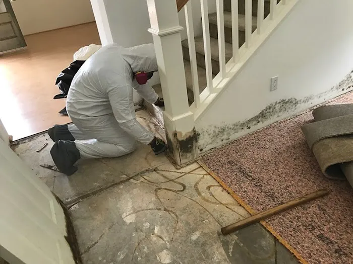 Lakeshore Restoration LLC Picture 2