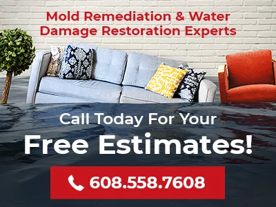 Prime Renewal Inc. Picture 2