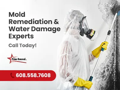 Prime Renewal Inc. Picture 1