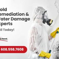 Prime Renewal Inc. ico