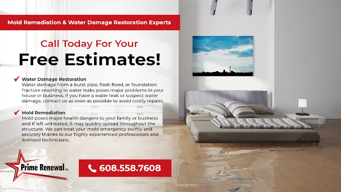 Prime Renewal Inc. Picture 4