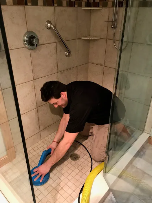 Stanley Steemer Picture 8