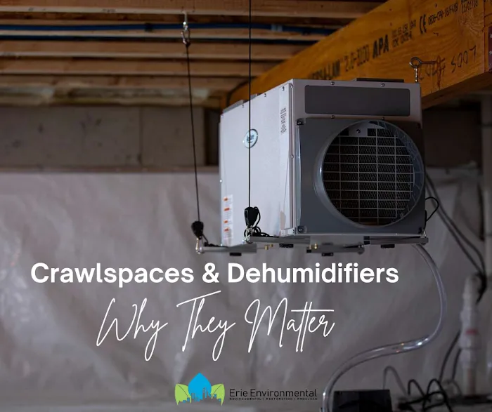 Erie Environmental | Mold | Asbestos | Radon of Sandusky Picture 9