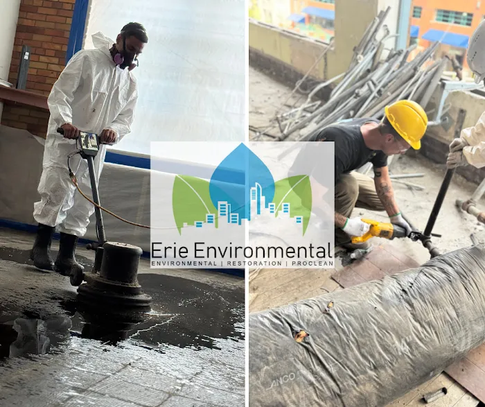 Erie Environmental | Mold | Asbestos | Radon of Sandusky Picture 3