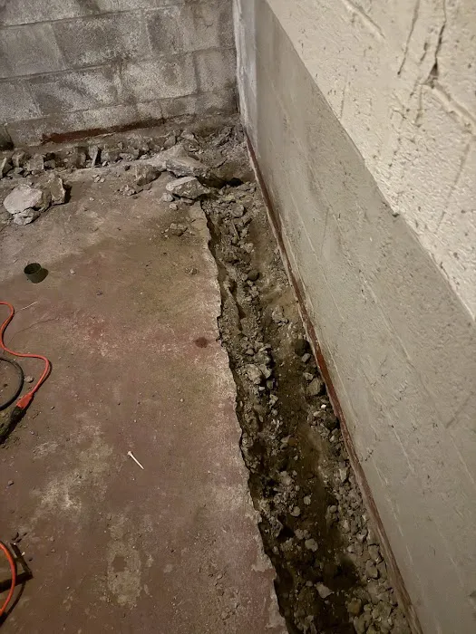 EverDry Findlay Picture 7