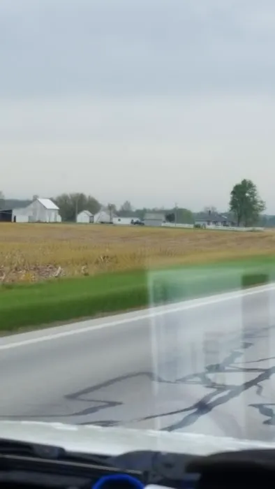 Stanley Steemer Picture 2