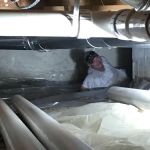 Buckeye Elite Property Services