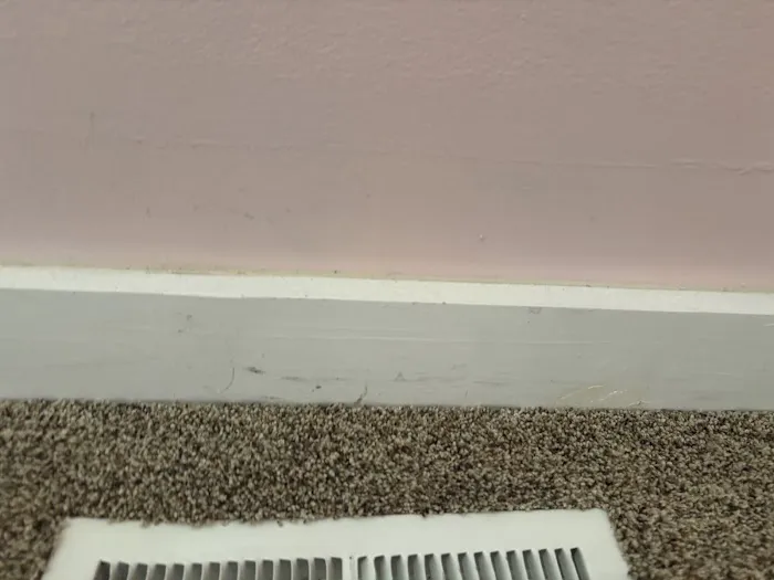 Stanley Steemer Picture 1