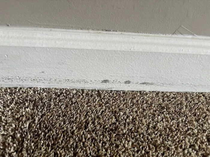 Stanley Steemer Picture 2