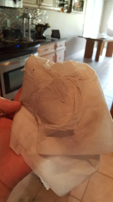 Stanley Steemer Picture 4