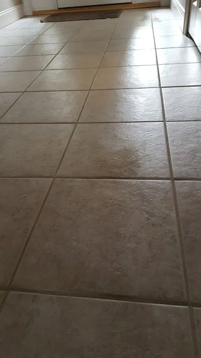 Stanley Steemer Picture 5