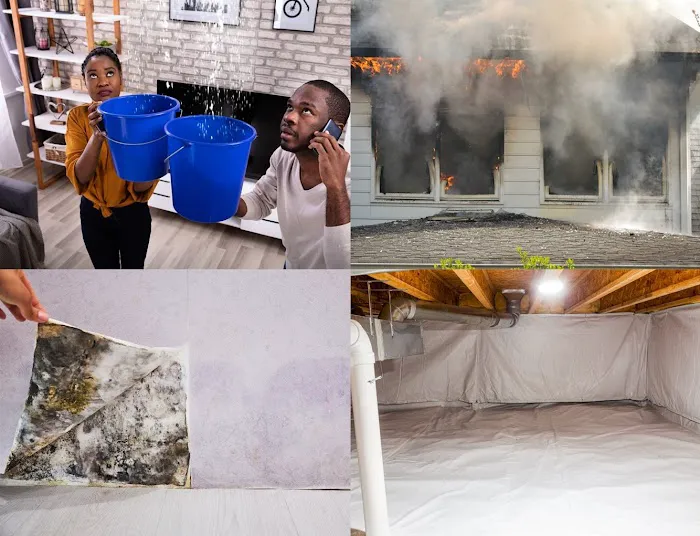 Certified Restoration and Squeaky Peak Picture 10