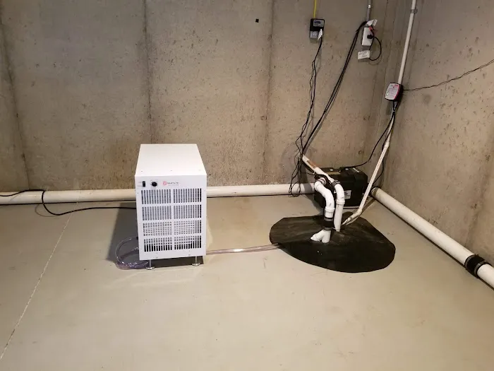 MAD Cleaning, LLC Picture 7