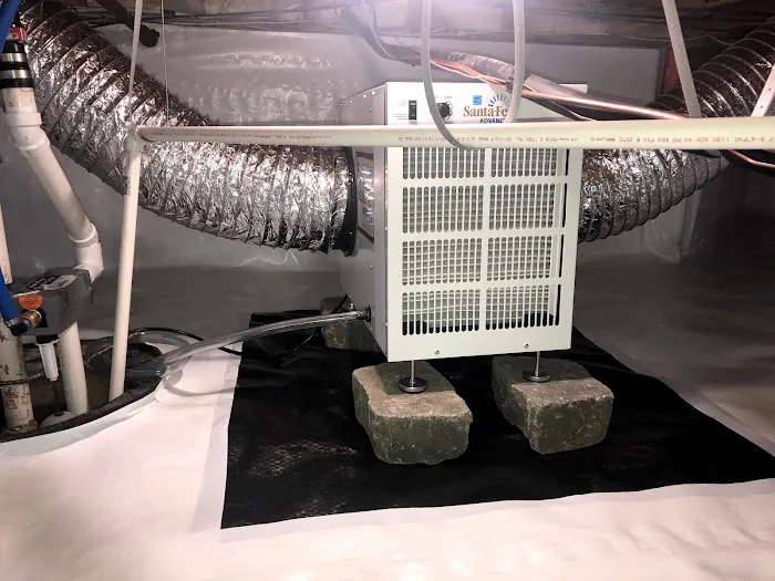 MAD Cleaning, LLC Picture 8