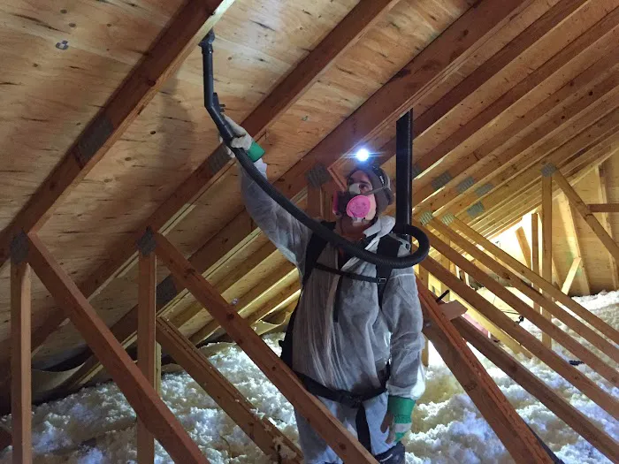 MAD Cleaning, LLC Picture 3