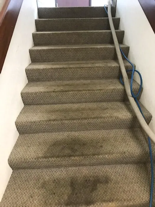 RestorePro Disaster Cleanup & Restoration Picture 3