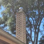 F Lax Construction Co