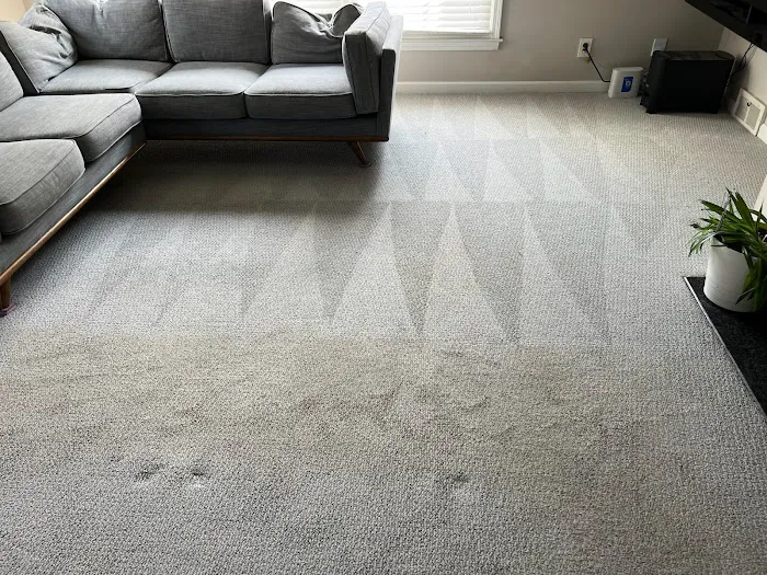 Zeppelin Cleaning Services Picture 4