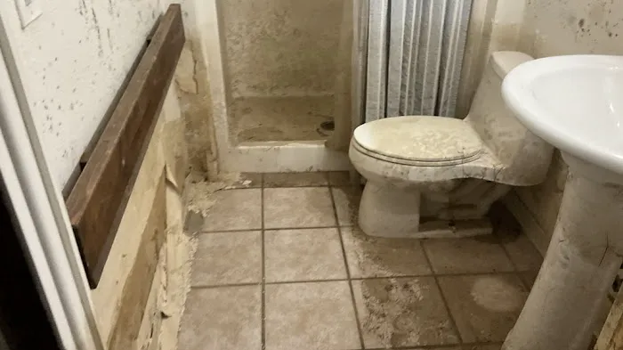 Disaster MD Restoration Services - Michigan Picture 2