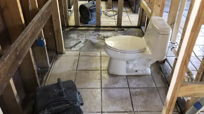 Disaster MD Restoration Services - Michigan Picture 7