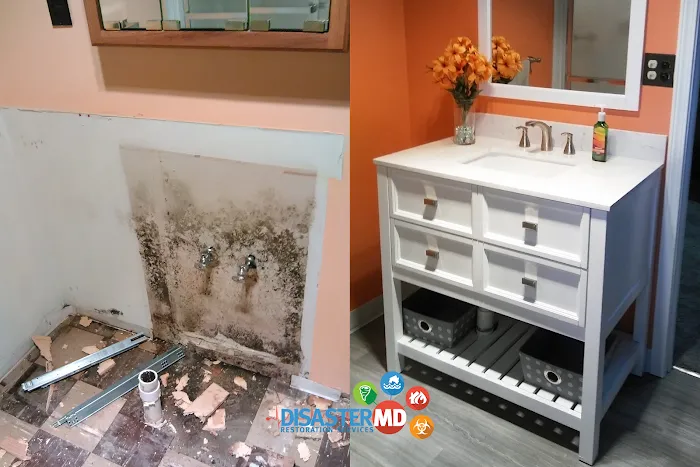 Disaster MD Restoration Services - Michigan Picture 4