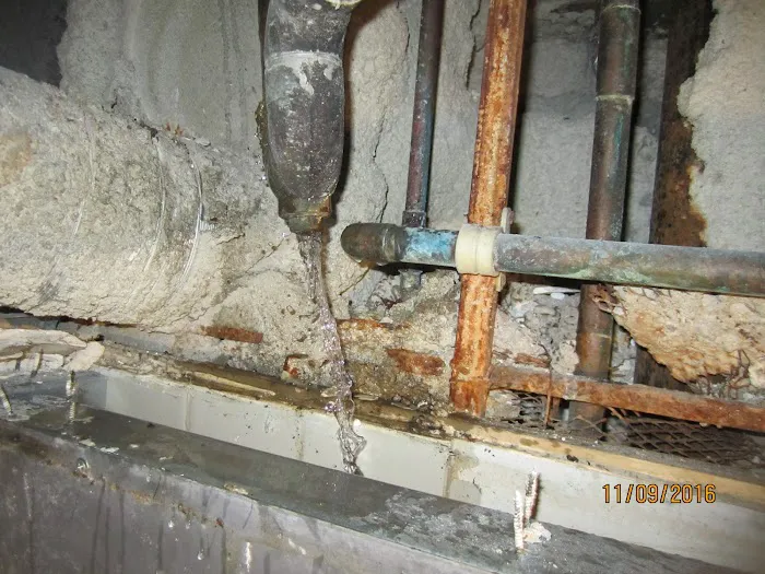 Disaster MD Restoration Services - Michigan Picture 6