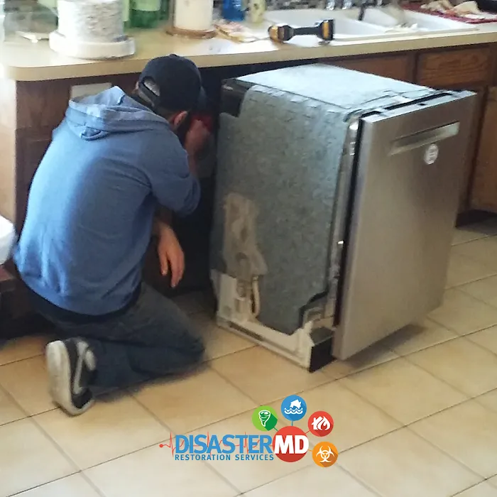 Disaster MD Restoration Services - Michigan Picture 8